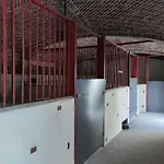 Haras De La Ressee