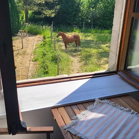 Haras De La Ressée * Agnez-les-Duisans